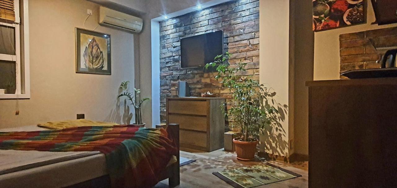 Natura Apartment 贝尔格莱德 外观 照片