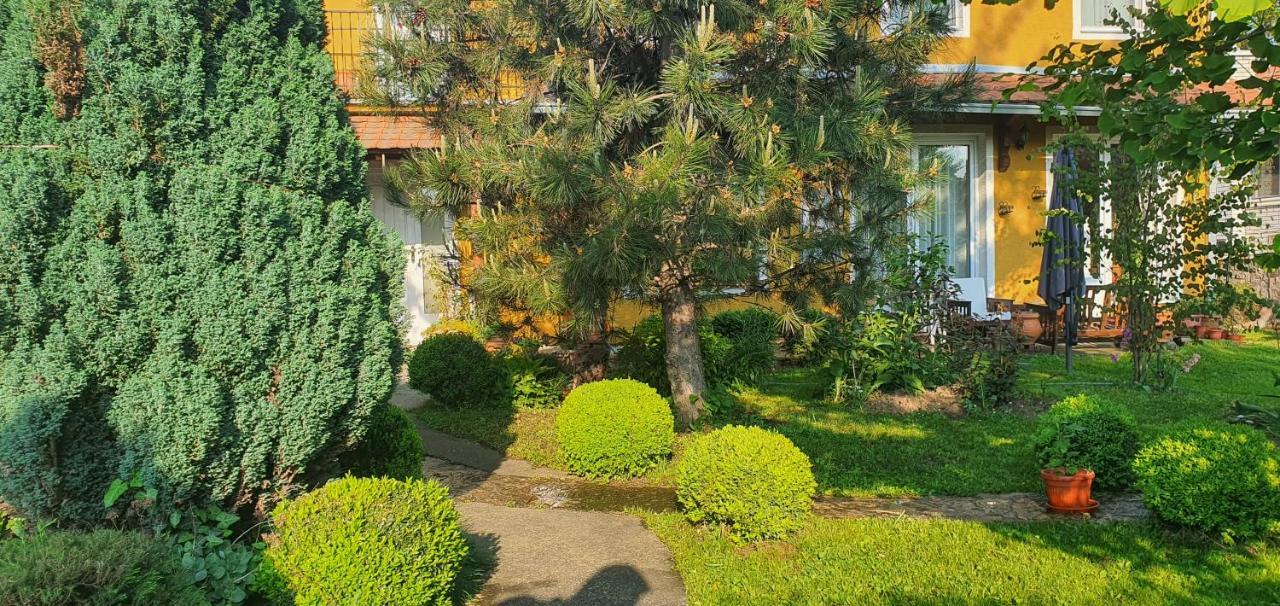 Natura Apartment 贝尔格莱德 外观 照片