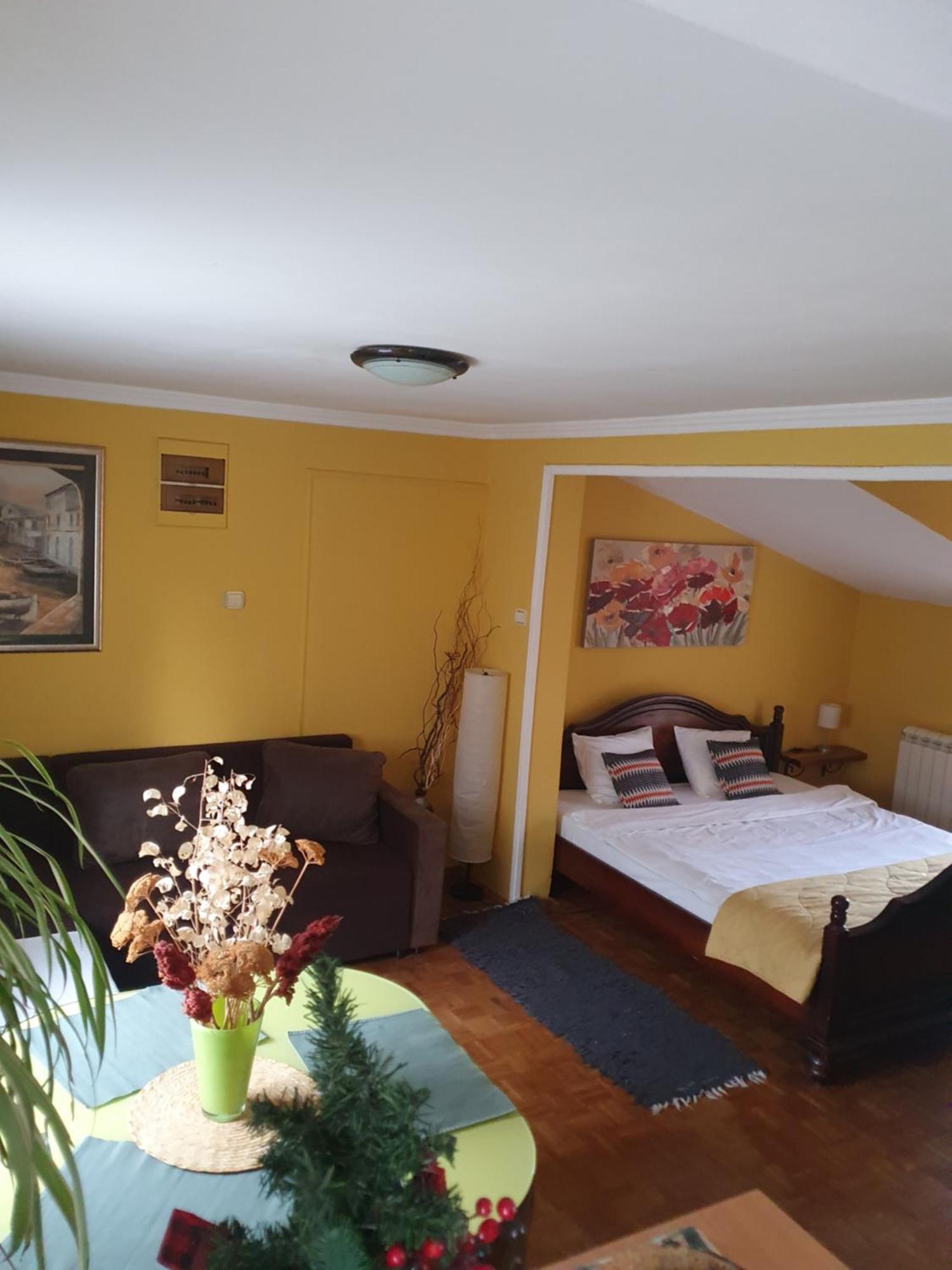 Natura Apartment 贝尔格莱德 外观 照片