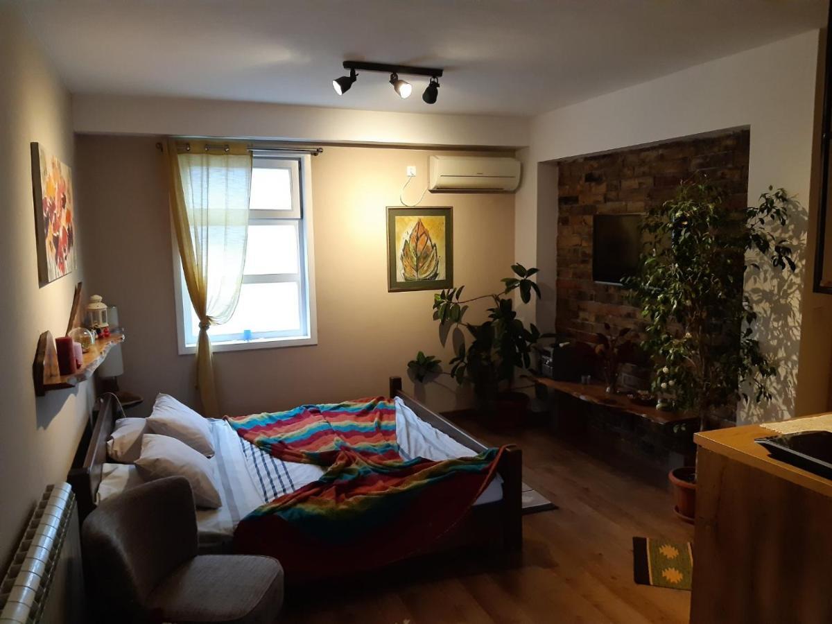 Natura Apartment 贝尔格莱德 外观 照片