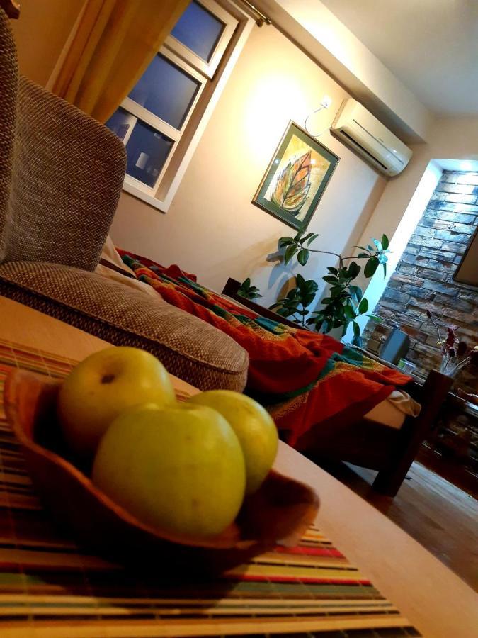 Natura Apartment 贝尔格莱德 外观 照片